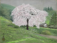 「綾上しだれ桜」