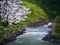 「桜花繚乱(香川)」
