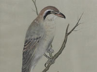 「百舌鳥(もず)」